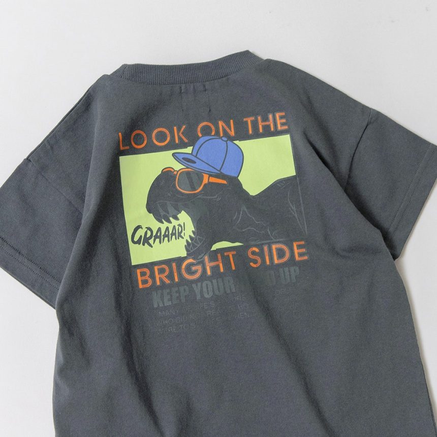 78:チャコールGY_恐竜