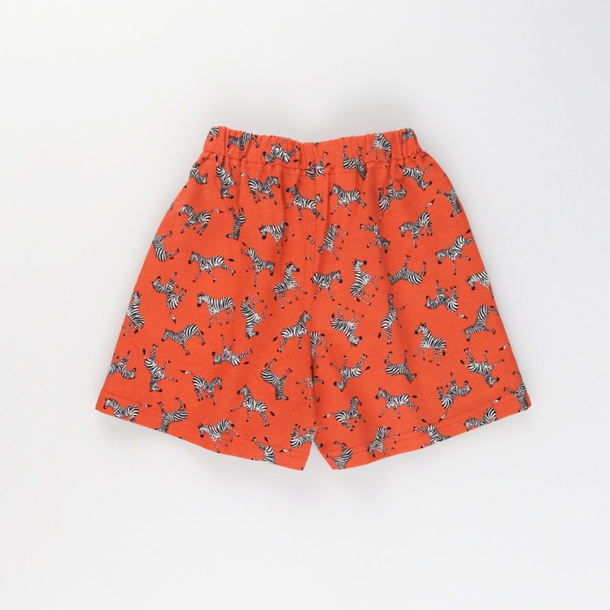 98:オレンジ_ゼブラ