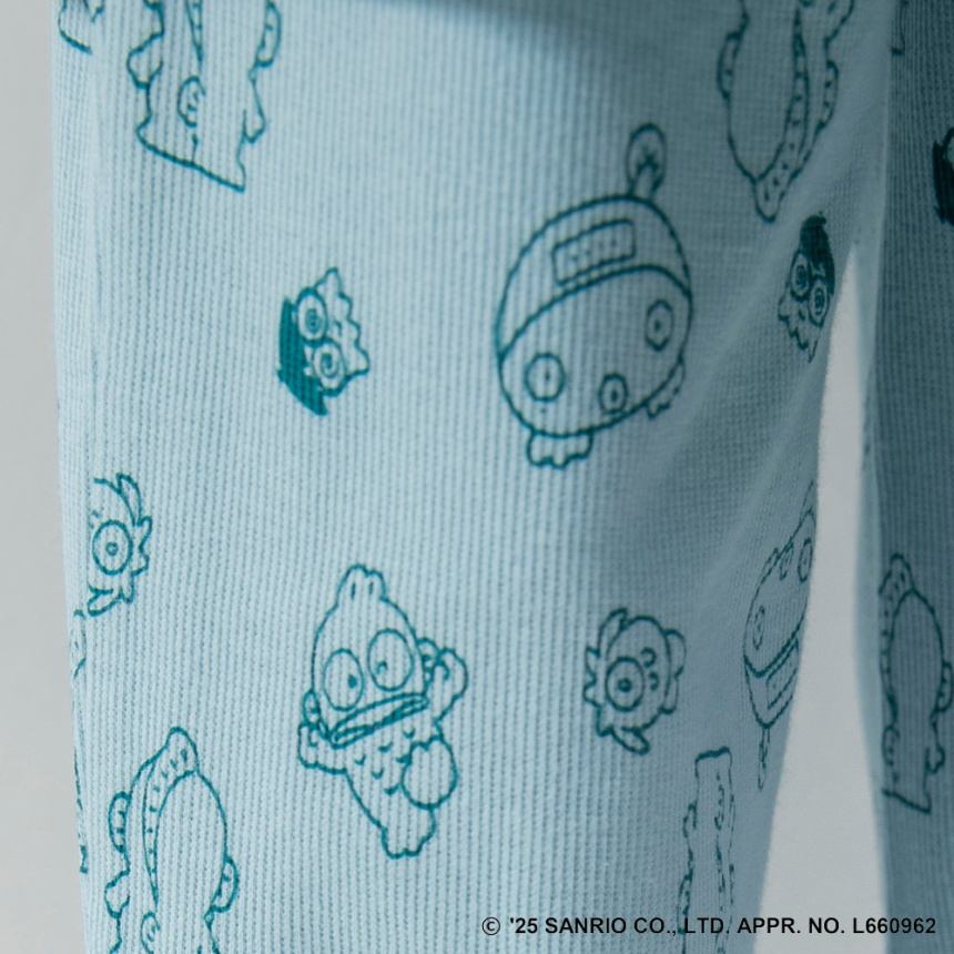 70_EGN_ハンギョドン