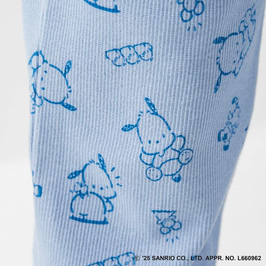 77_ブルー_ポチャッコ