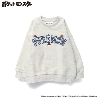 04:パルデア御三家