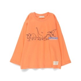 ライトオレンジ