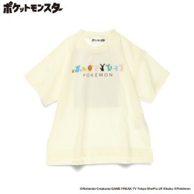 91:イーブイ・サンダースなど