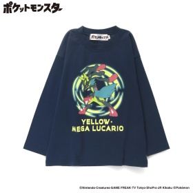 22NB_メガルカリオ