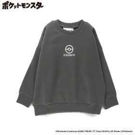 78:グレー_イーブイ