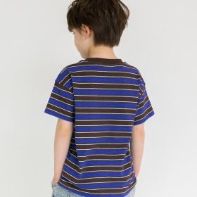 【DRC/お肌に嬉しい綿100％】アソートグラフィック半袖Tシャツ