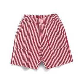 33:ストライプ-エンジ