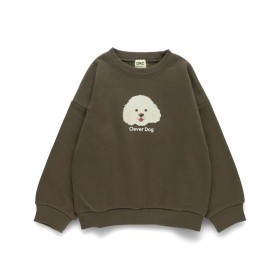 64_ブラウン_プードル