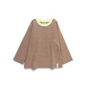 64_ブラウン_ボーダー